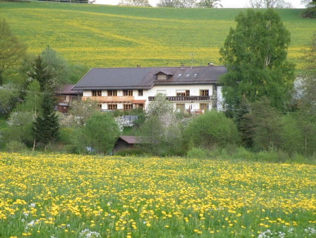 Pension Landhaus Riedelstein Drachselsried Exterior foto