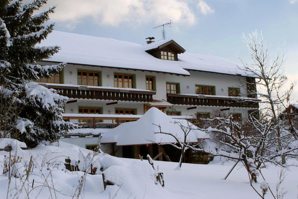 Pension Landhaus Riedelstein Drachselsried Exterior foto